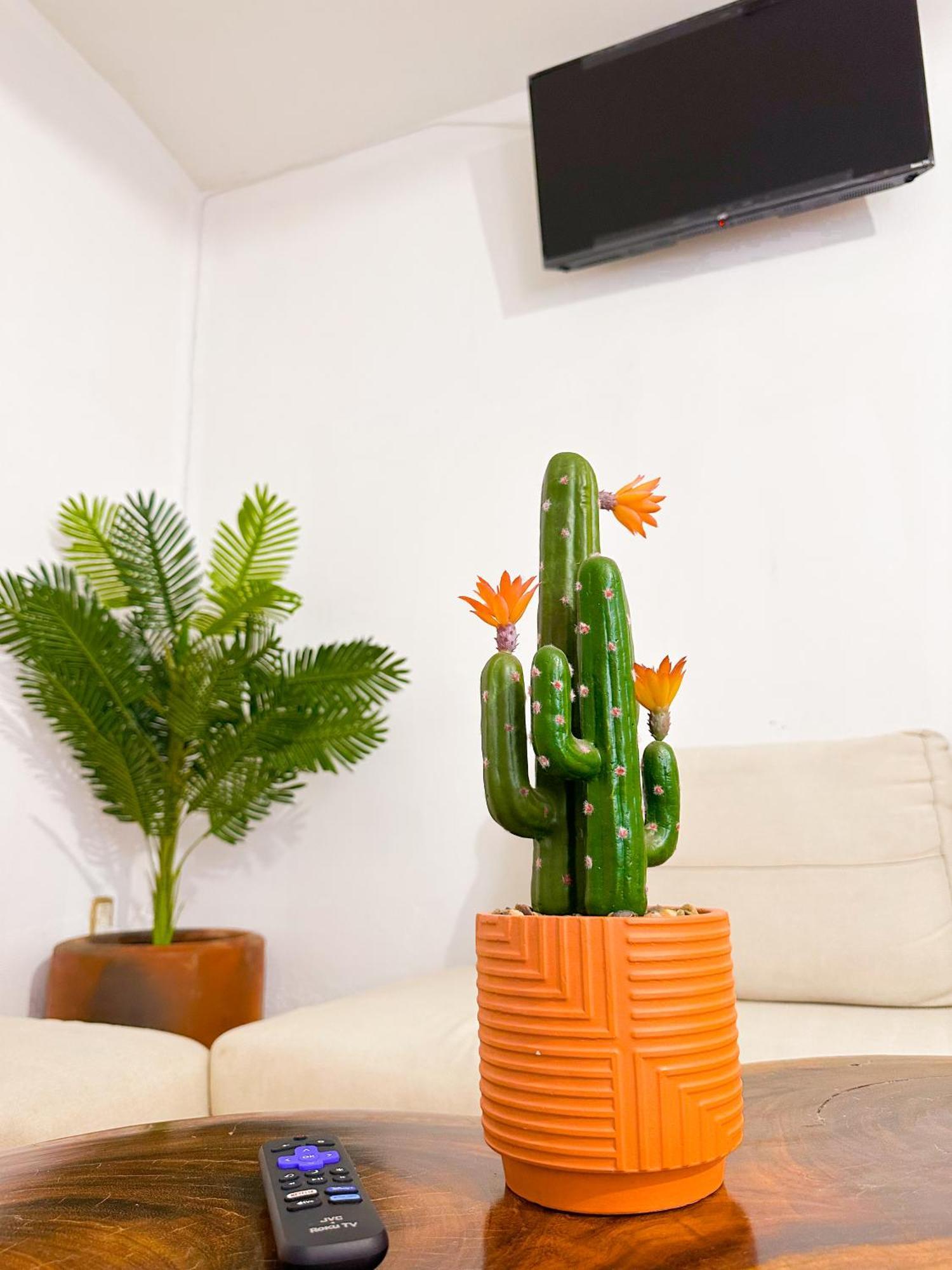 Habitaciones Hvuz, Centro 오아하카주 외부 사진